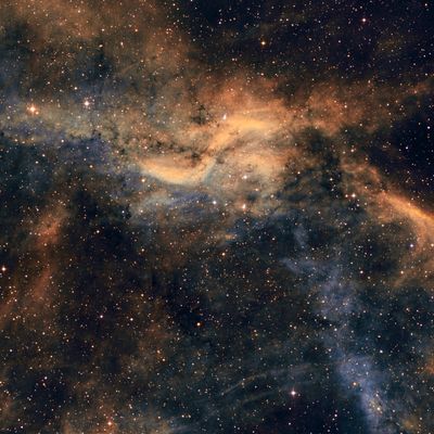 Nebulae in Color (Narrowband)